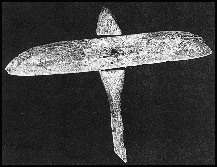 airplane?