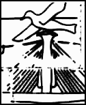 masthead bird