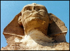 sphinx nose