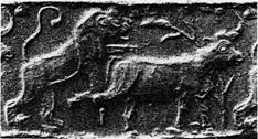 Lion attacking bull